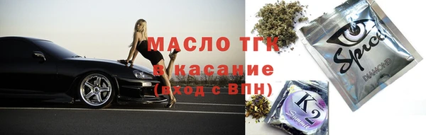 индика Аркадак