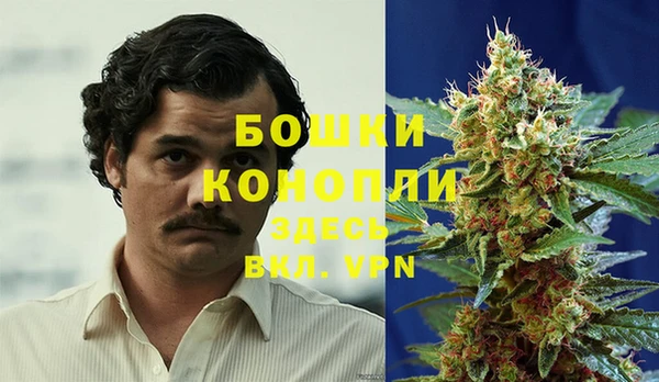 spice Балабаново