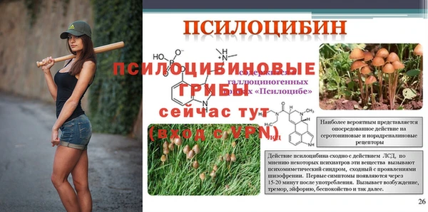 дживик Баксан