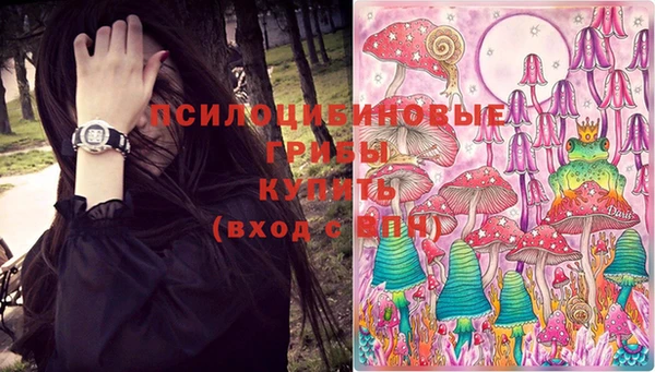 дживик Баксан