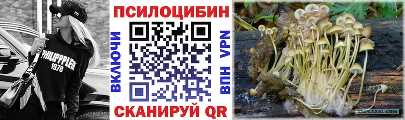 Галлюциногенные грибы прущие грибы  Чудово 